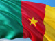 flag of Cameroon